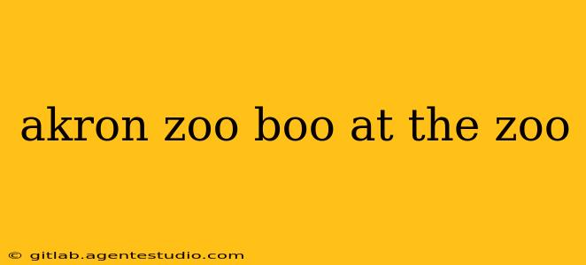 akron zoo boo at the zoo