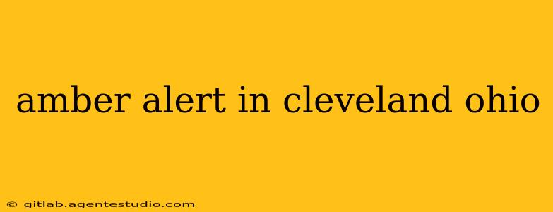 amber alert in cleveland ohio