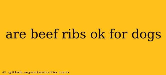 are beef ribs ok for dogs