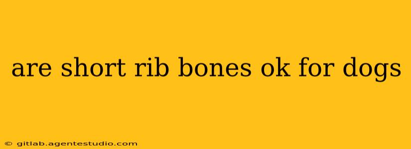 are short rib bones ok for dogs