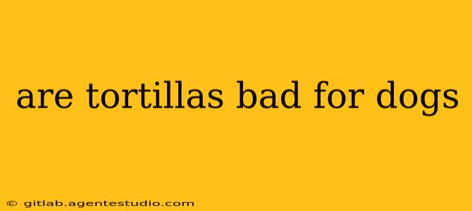 are tortillas bad for dogs