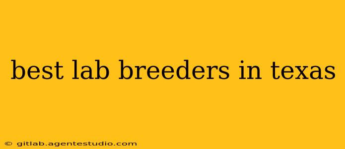 best lab breeders in texas