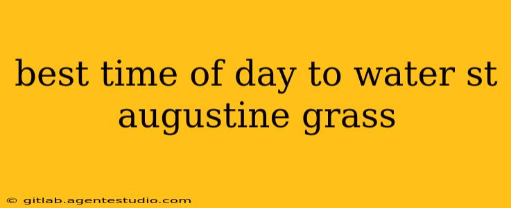 best time of day to water st augustine grass