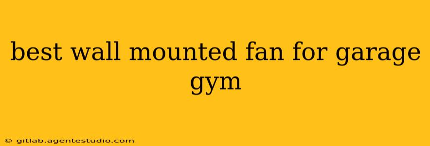 best wall mounted fan for garage gym