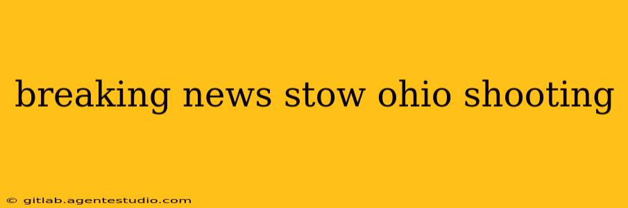 breaking news stow ohio shooting