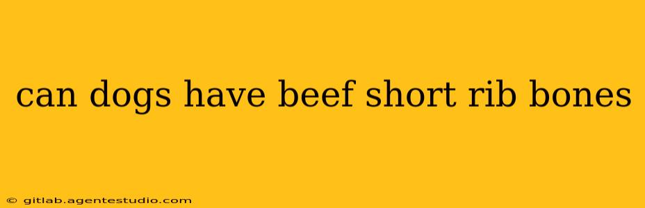 can dogs have beef short rib bones