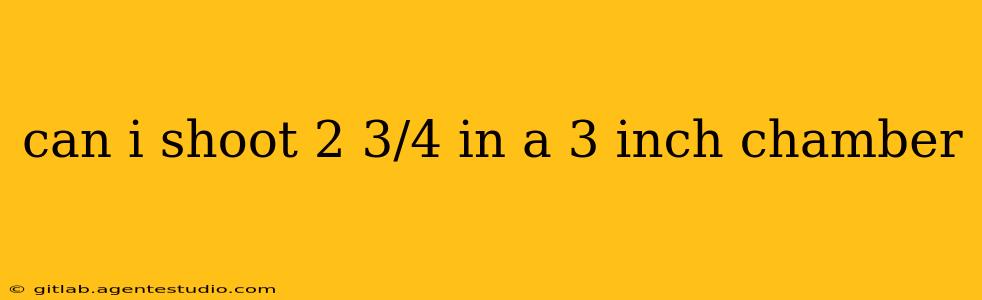 can i shoot 2 3/4 in a 3 inch chamber