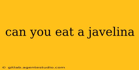 can you eat a javelina