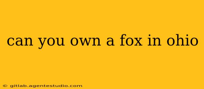 can you own a fox in ohio