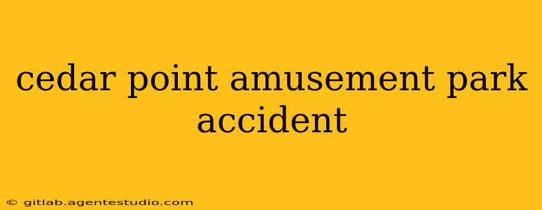 cedar point amusement park accident