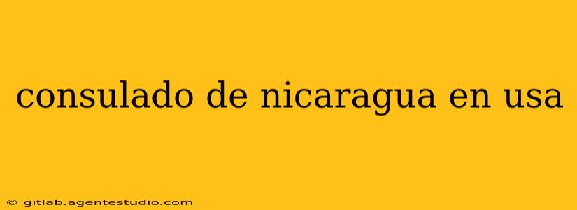 consulado de nicaragua en usa