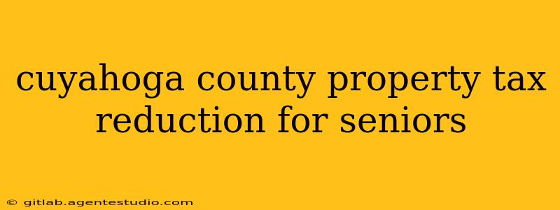 cuyahoga county property tax reduction for seniors