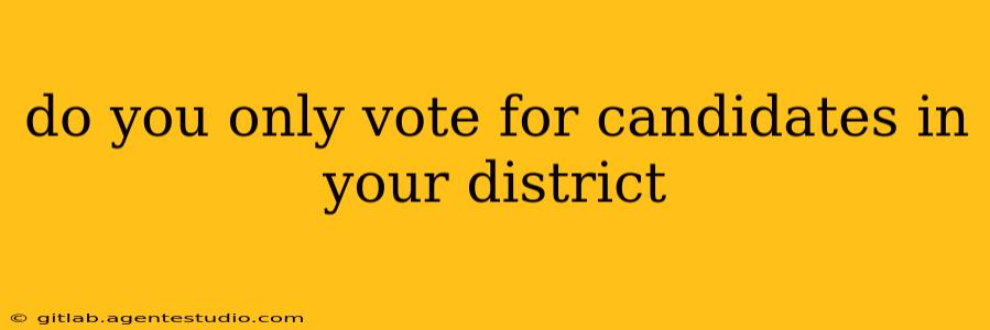 do you only vote for candidates in your district