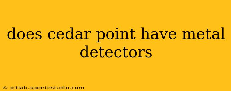 does cedar point have metal detectors