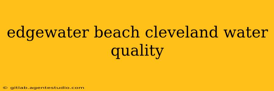 edgewater beach cleveland water quality