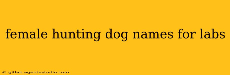 female hunting dog names for labs