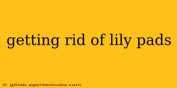 getting rid of lily pads