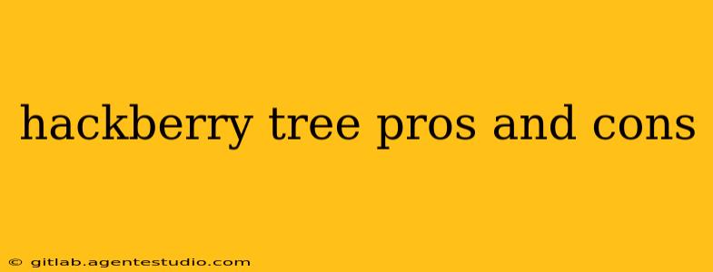 hackberry tree pros and cons