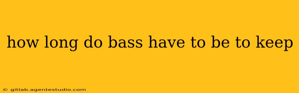 how long do bass have to be to keep