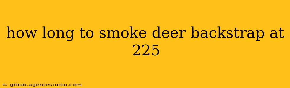 how long to smoke deer backstrap at 225