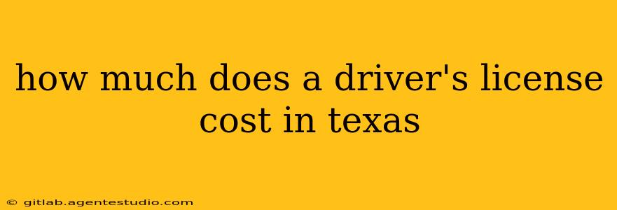 how much does a driver's license cost in texas