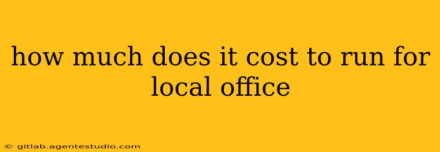 how much does it cost to run for local office