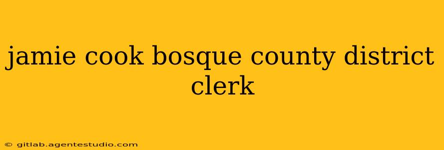 jamie cook bosque county district clerk