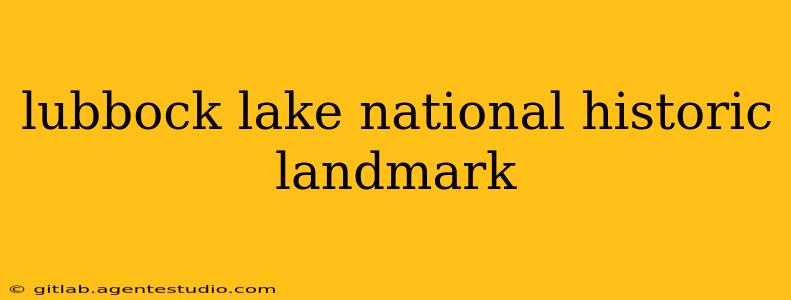 lubbock lake national historic landmark