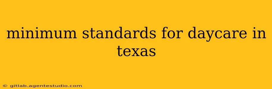 minimum standards for daycare in texas