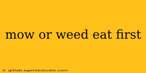 mow or weed eat first