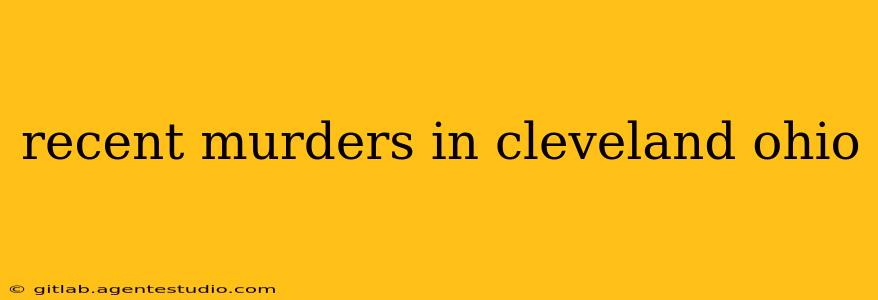 recent murders in cleveland ohio