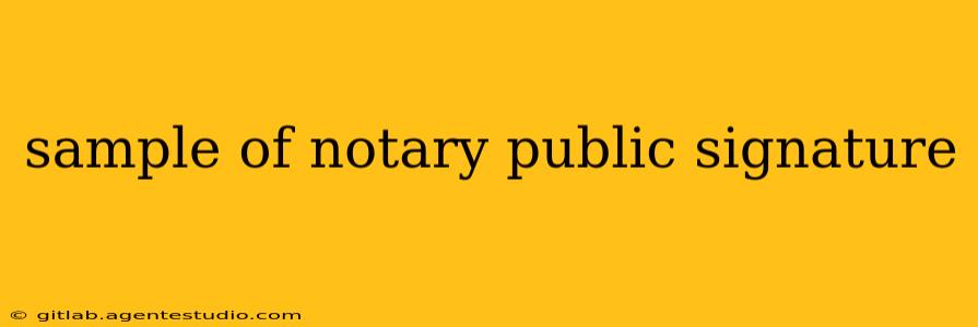 sample of notary public signature