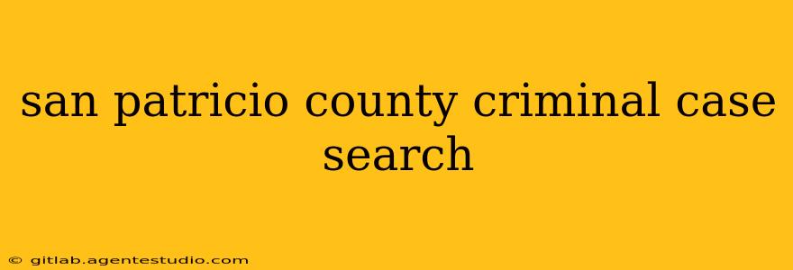 san patricio county criminal case search