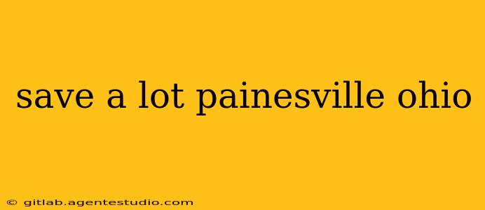 save a lot painesville ohio