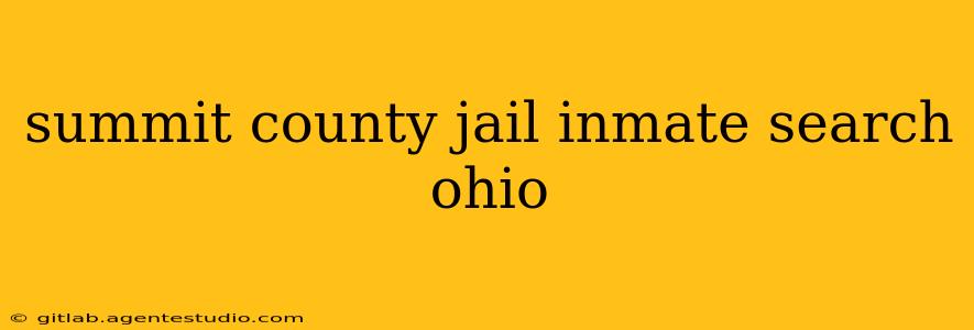 summit county jail inmate search ohio