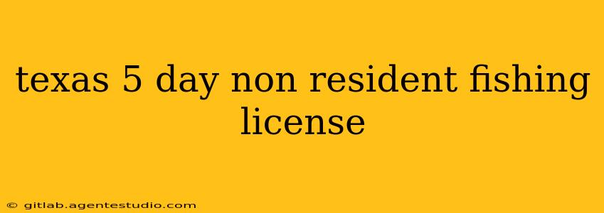 texas 5 day non resident fishing license