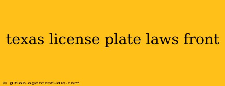 texas license plate laws front