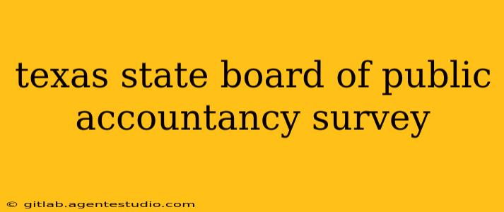 texas state board of public accountancy survey