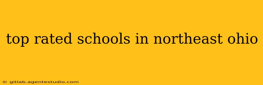 top rated schools in northeast ohio