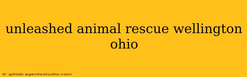 unleashed animal rescue wellington ohio