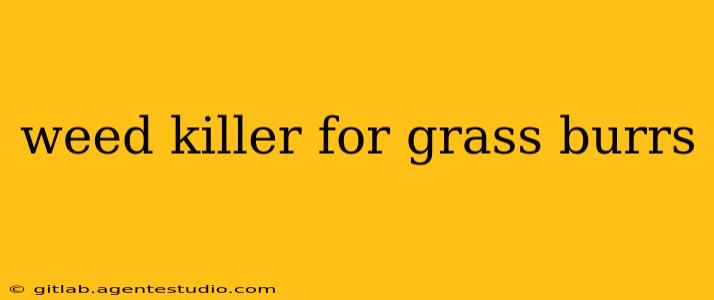 weed killer for grass burrs