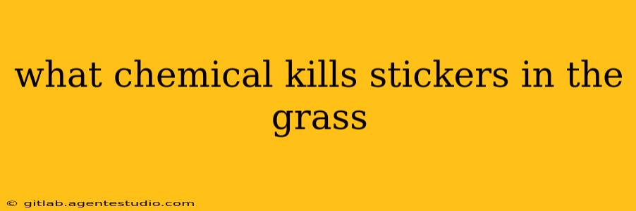 what chemical kills stickers in the grass