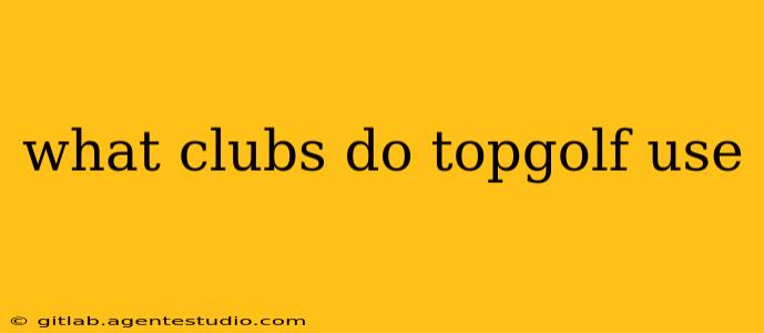 what clubs do topgolf use