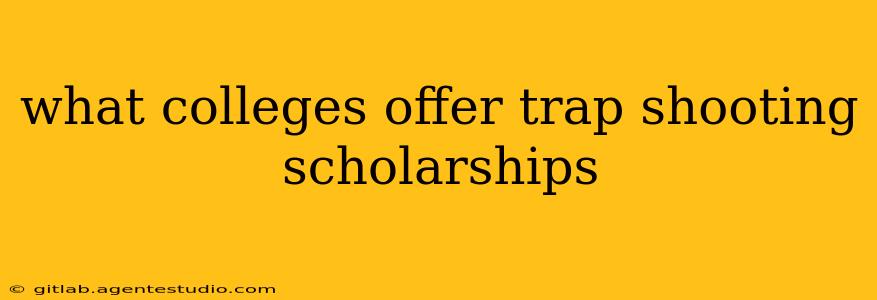 what colleges offer trap shooting scholarships