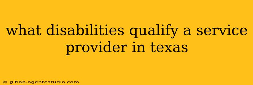 what disabilities qualify a service provider in texas