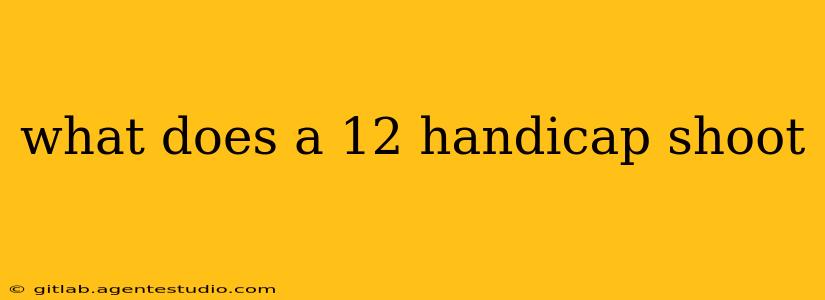 what does a 12 handicap shoot