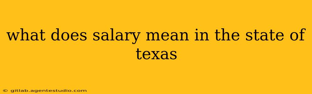 what does salary mean in the state of texas