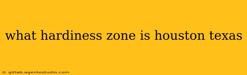 what hardiness zone is houston texas