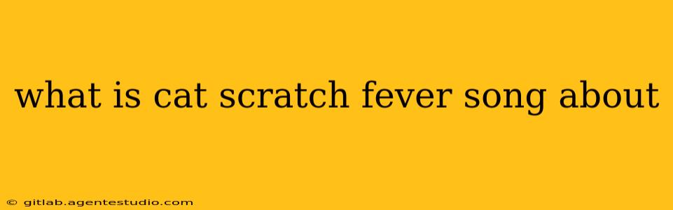 what is cat scratch fever song about