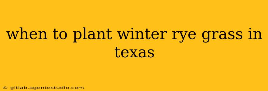 when to plant winter rye grass in texas